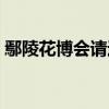 鄢陵花博會請過的明星有哪些（鄢陵花博會）