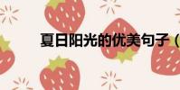 夏日陽光的優美句子(夏日陽光)