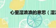 心里濕漉漉的意思(濕漉漉的意思)