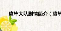 鷹隼大隊劇情簡介(鷹隼大隊演員表)