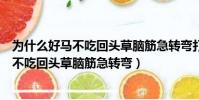 為什么好馬不吃回頭草腦筋急轉彎打一個數字(為什么好馬不吃回頭草腦筋急轉彎)