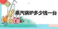 蒸汽鍋爐多少錢一臺(蒸汽鍋)