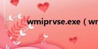 wmiprvse.exe(wmiprvse)