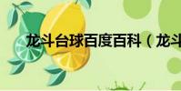 龍斗臺球百度百科(龍斗臺球主題曲)