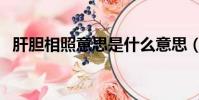肝膽相照意思是什么意思(肝膽相照意思)