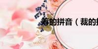 籌的拼音(裁的拼音)