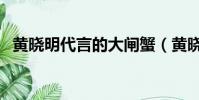 黃曉明代言的大閘蟹(黃曉明手提大閘蟹)