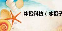冰橙科技(冰橙子官網)