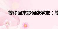 等你回來歌詞張學友(等你回來歌詞)