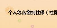 個人怎么繳納社保(社保個人交多少)