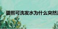 璐熙可洗發水為什么突然消失(璐熙可)
