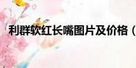 利群軟紅長嘴圖片及價格(利群軟紅長嘴)