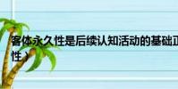 客體永久性是后續認知活動的基礎正確還是錯誤(客體永久性)