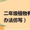 二年級植物有辦法仿寫荷葉嗎（二年級植物有辦法仿寫）