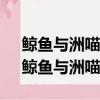 鯨魚與洲喵超話—新浪微博超話社區主頁（鯨魚與洲喵）