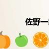 佐野一郎百度百科（佐野俊英）