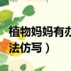 植物媽媽有辦法仿寫柳樹媽媽（植物媽媽有辦法仿寫）