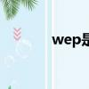 wep是什么意思中文（wep）