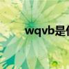 wqvb是什么意思（vb是什么意思）
