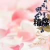 精煤價格最新行情（精煤）