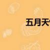 五月天怪獸是誰（五月天怪獸）