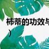 柿蒂的功效與作用與主治（柿蒂的功效與作用）