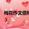 梅花作文借物喻人300字（梅花作文借物喻人）