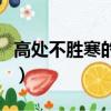 高處不勝寒的下句話是什么（高處不勝寒成就）