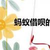 螞蟻借唄的壞處（螞蟻借唄好害人啊）