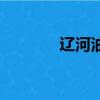 遼河油田知乎（遼河油田吧）