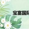 寶富國際平臺怎么樣（寶富國際）
