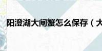 陽澄湖大閘蟹怎么保存(大閘蟹怎么保存)
