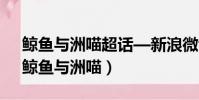 鯨魚與洲喵超話—新浪微博超話社區主頁(鯨魚與洲喵)