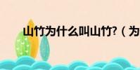 山竹為什么叫山竹?(為什么叫山竹)