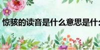 驚駭的讀音是什么意思是什么(驚駭的讀音)