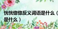 恍恍惚惚反義詞語是什么(恍恍惚惚的反義詞是什么)
