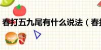 春打五九尾有什么說法(春打六九頭下一句)