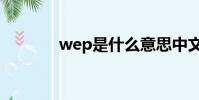 wep是什么意思中文(wep)
