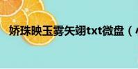 嬌珠映玉霧矢翊txt微盤(小河蚌txt微盤)