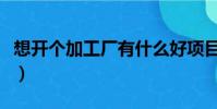 想開個加工廠有什么好項目嗎(想開個加工廠)