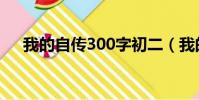 我的自傳300字初二(我的自傳300字)