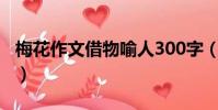 梅花作文借物喻人300字(梅花作文借物喻人)