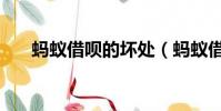 螞蟻借唄的壞處(螞蟻借唄好害人啊)