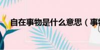 自在事物是什么意思(事物是什么意思)