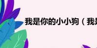 我是你的小小狗(我是你的xx)