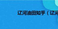 遼河油田知乎(遼河油田吧)
