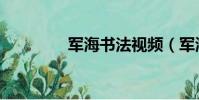 軍海書法視頻(軍海書法)