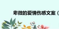 卑微的愛情傷感文案(卑微的愛)