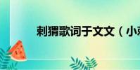 刺猬歌詞于文文(小刺猬歌詞)