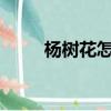 楊樹花怎么吃好?（楊樹花怎么吃）